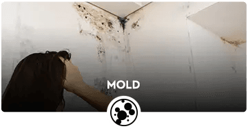 Mold