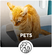 Pets
